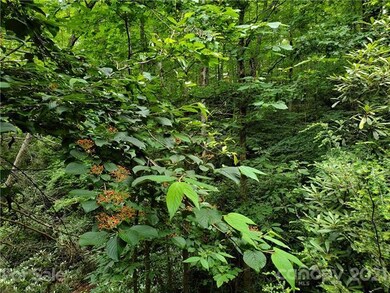 Treetop living - Nothing but trees and nature arou