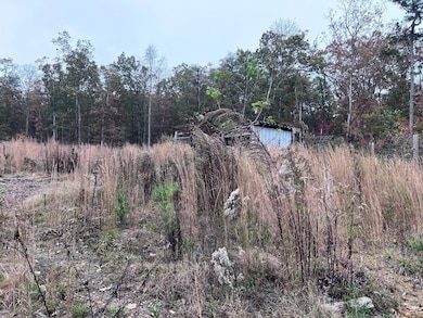 270 Burnett Rd, Signal Mountain, TN 37377 - photo 2