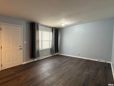 3812 Mississippi Ave, Davenport, IA 52807 - photo 3