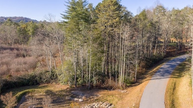 59 Bottlebrush Dr, Cashiers, NC 28717 - photo 7