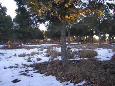 50 Pine Nut Dr unit 2/Lot 70, Trinidad, CO 81082 - photo 7