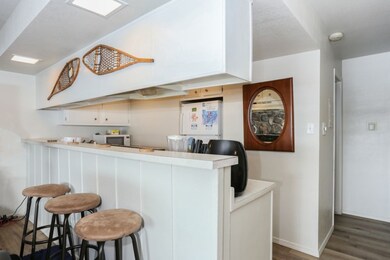 370 E La Bonte St unit 502, Dillon, CO 80435 - photo 4