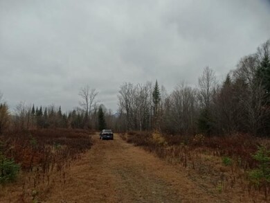 823 Baird Rd, Newark, VT 05871 - photo 5