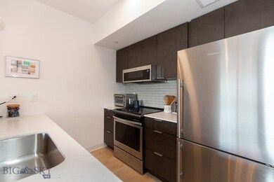 718 W Babcock St unit 310, Bozeman, MT 59715 - photo 7