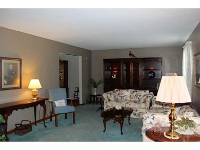 Living Room. The bright living room is the perfect
