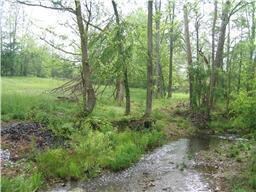 Creek along one side of lot