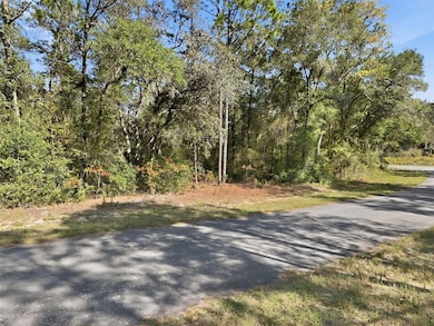 2237 W Striblin Dr, Dunnellon, FL 34434 - photo 6