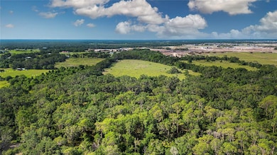 0 Butch Cassidy Trail, Wimauma, FL 33598 - photo 6