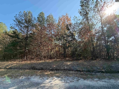 1043 Oakland Dr, Camden, SC 29020 - photo 4