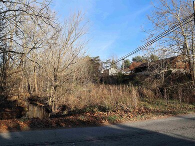 TBD Radford Rd, Christiansburg, VA 24073 - photo 7