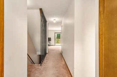 ENTRY VIEW