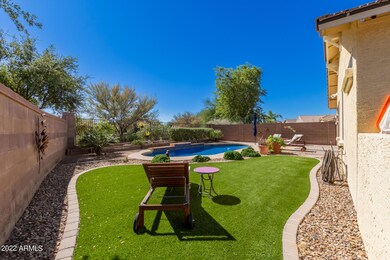 Low Maintenance Backyard
