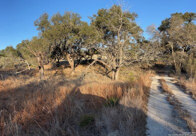 3520 & 3524 Comal Springs, Canyon Lake, TX 78133 - photo 7