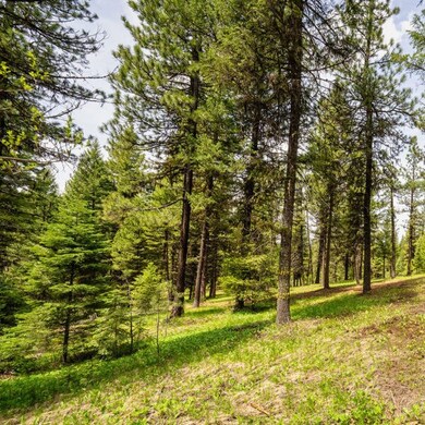 Lot 20 To Be Determined unit 20, McCall, ID 83638 - photo 2