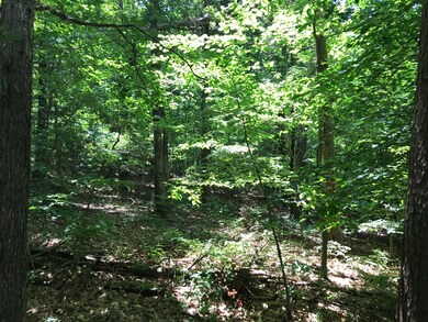 0 Chamberlain Rd unit 1301774, La Fayette, GA 30728 - photo 5