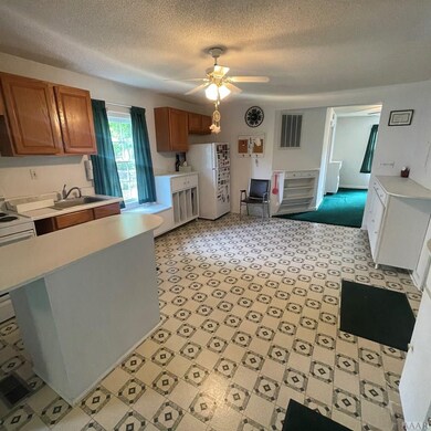 709 McMullan Ave, Edenton, NC 27932 - photo 5