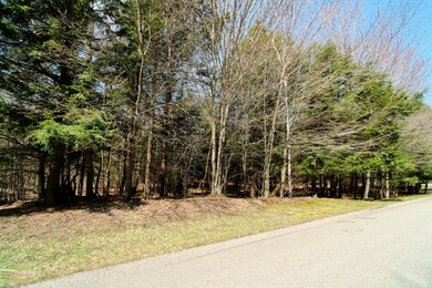 0 Opal Ridge Dr unit 21012894, Onekama, MI 49675 - photo 2