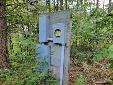 N8844 Walleye Way, Tomahawk, WI 54487 - photo 2