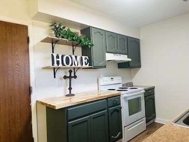 3005 Shawnee Trail, Alamogordo, NM 88310 - photo 5