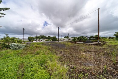 3405 Alohanani Place, Hilo, HI 96720 - photo 5