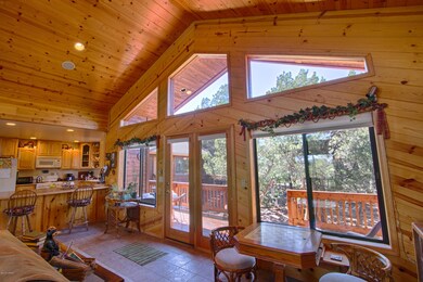 Backyard windows