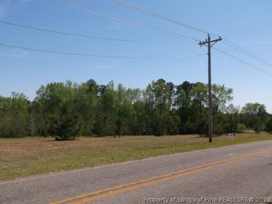 2.3 Acre Read Rd, Cameron, NC 28326 - photo 4