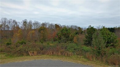 0 Tyringham Dr unit 47, Howards Creek, NC 28033 - photo 6