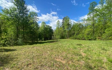 Additional View