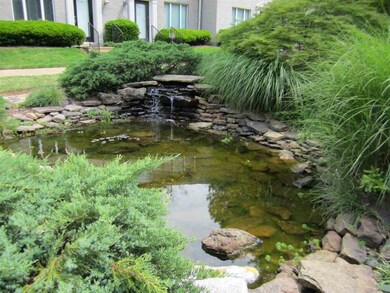 Pond