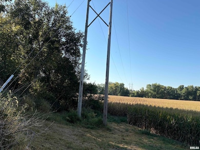 8522 Lot 25 N Thousand Dollar Rd, Brimfield, IL 61517 - photo 2