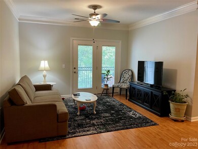 423 Appeldoorn Cir unit 423, Asheville, NC 28803 - photo 7