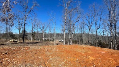 343 Marion County 7002, Flippin, AR 72634 - photo 4