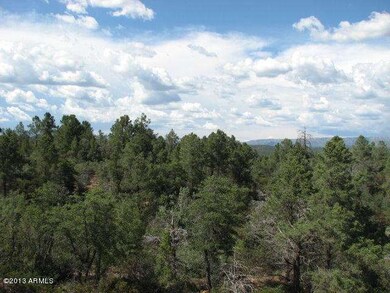 View of Forest
