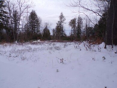 fryeburg20202