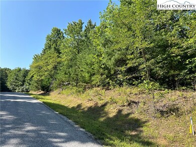 Lot 15C Cielo Ridge Way, Purlear, NC 28665 - photo 4