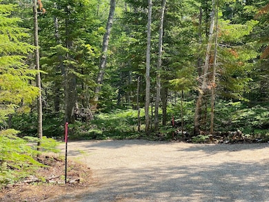 Lot 29 Third Creek Subdivision unit Lot 29, Paradise, MI 49768 - photo 4