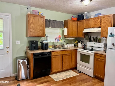 151 Red Bud Ln, Sevierville, TN 37876 - photo 4