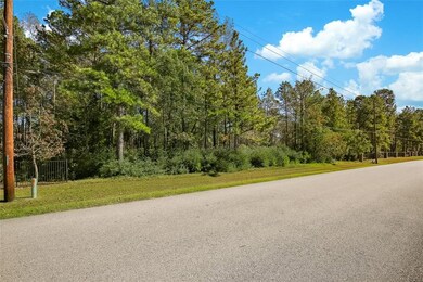 32511 Pebble Bend Way, Magnolia, TX 77354 - photo 4