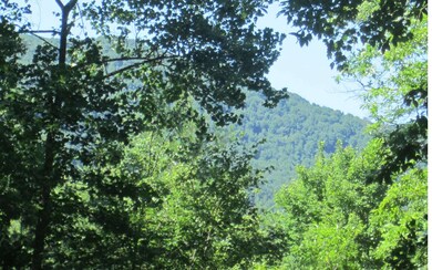 Additional View