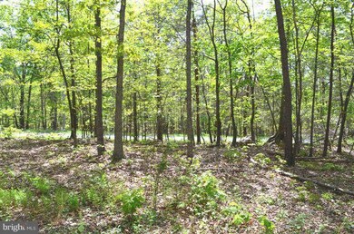 0 Lot 12 Secession Ln unit 1003490994, New Market, VA 22844 - photo 5