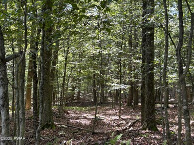 0 Wallenpaupack Dr unit PWBPW252769, Greene Township, PA 18426 - photo 3