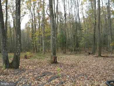 557 High Rd, Ashland, PA 17921 - photo 3