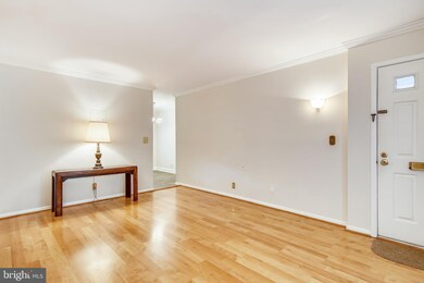 2669 S Walter Reed Dr unit A, Arlington, VA 22206 - photo 6