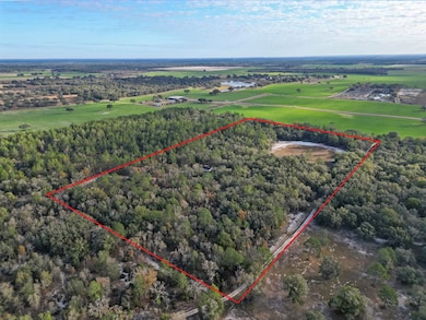 10431 NE 32nd Ln, Bronson, FL 32621 - photo 4