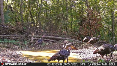 TBD57 E Burns Valley Rd, Winona, MN 55987 - photo 6