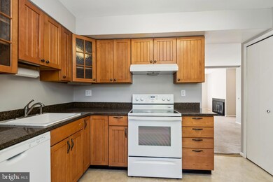 7138 Winter Rose Path, Columbia, MD 21045 - photo 3