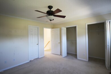 Master Bedroom closets