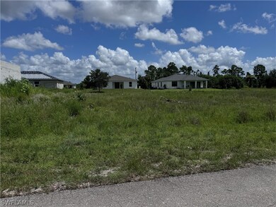 1143 Ebony St E, Lehigh Acres, FL 33974 - photo 4