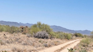 14465 S Ezra Place unit 358, Three Points, AZ 85736 - photo 3