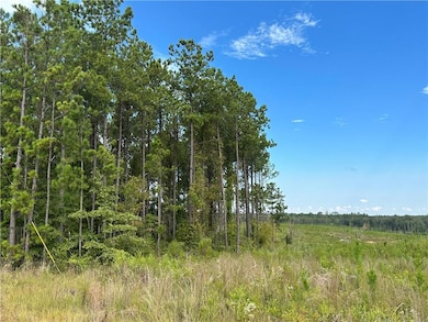 210 Ridge Rd, Seale, AL 36875 - photo 3